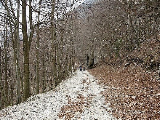 Escursione Parco Nazionale d''Abruzzo